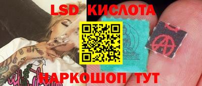 spice Донской
