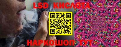 spice Донской