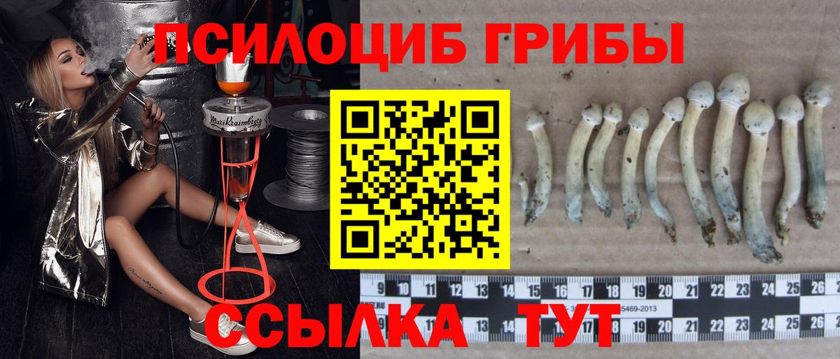 Дальнегорск  Псилоцибиновые грибы мухоморы  Вход с VPN  Галлюциногенные грибы ЛСД 